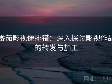 番茄影视像排错：深入探讨影视作品的转发与加工