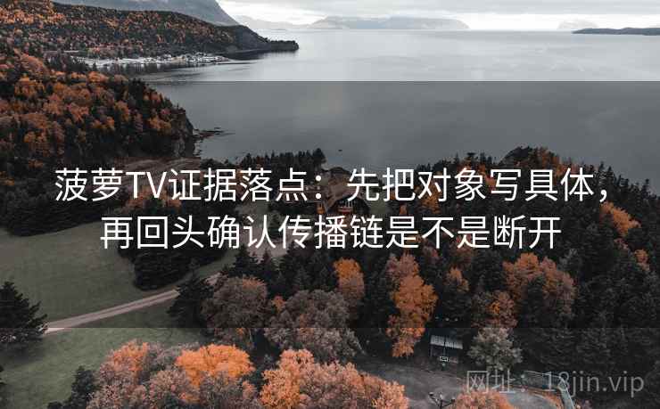菠萝TV证据落点：先把对象写具体，再回头确认传播链是不是断开