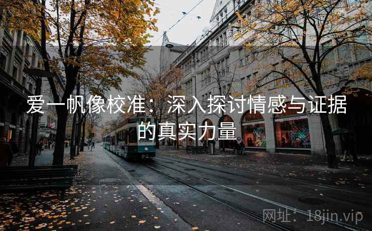 爱一帆像校准：深入探讨情感与证据的真实力量