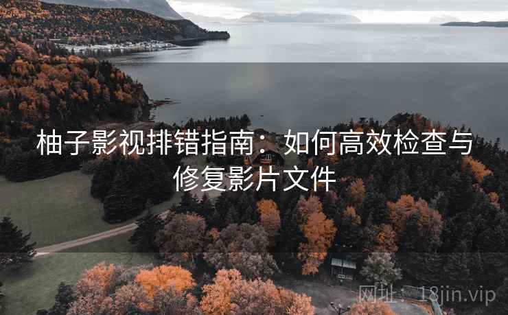 柚子影视排错指南：如何高效检查与修复影片文件